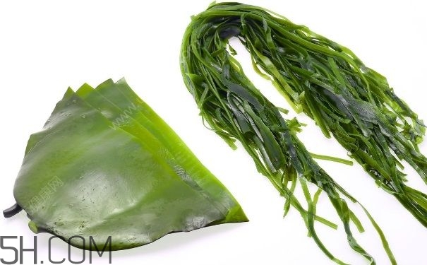 海帶的做法有哪些？怎么挑選優(yōu)質(zhì)海帶？