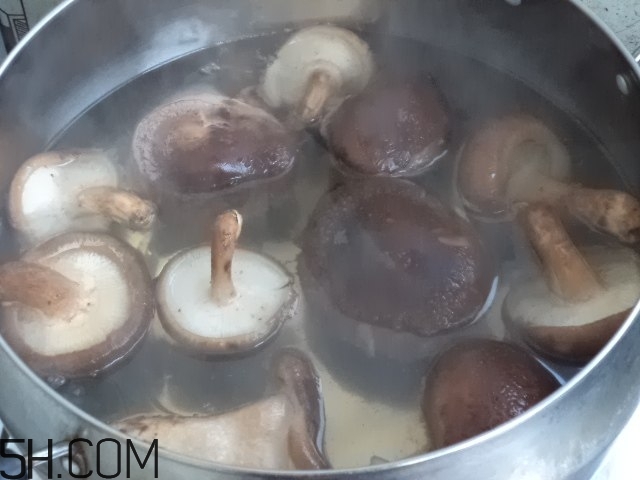 香菇和白蘿卜可以一起吃嗎？香菇和白蘿卜一起吃有什么好處？