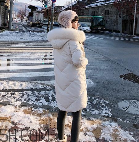 鵝絨羽絨服大概多少錢？白鵝絨羽絨服多少錢一件？