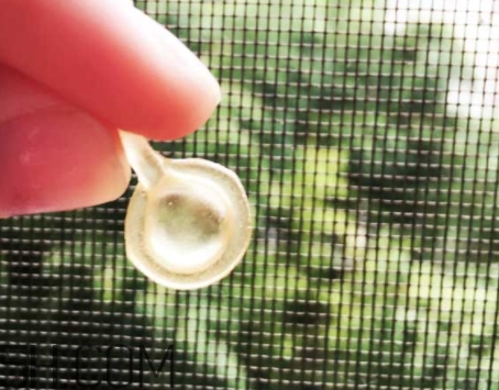 雅頓眼膠和面膠區(qū)別 雅頓眼膠和面膠可以一起用嗎？