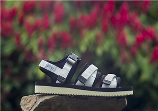 suicoke2018春夏涼鞋系列多少錢_在哪買？