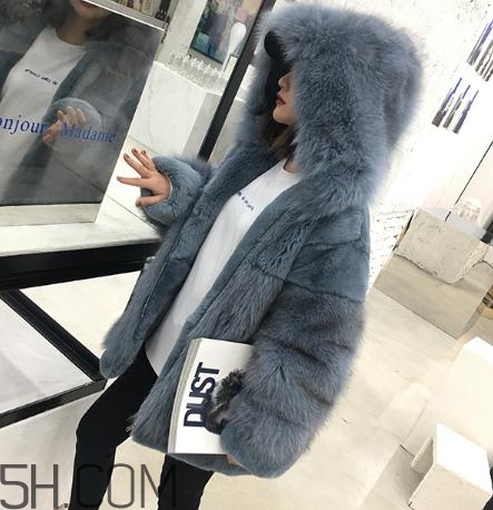獺兔毛皮草一千元貴嗎？獺兔毛皮草2018年價(jià)格
