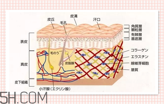 水光針可以祛斑嗎？涂抹式水光針的效果好嗎？
