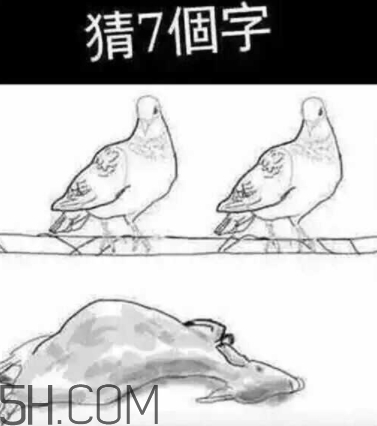 52422696代表什么意思？女生發(fā)52422696暗示什么