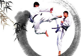 十五歲學(xué)跆拳道遲嗎？十五歲能學(xué)跆拳道嗎？