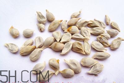 不小心吃了橘子籽怎么辦？橘子籽可以生吃嗎？