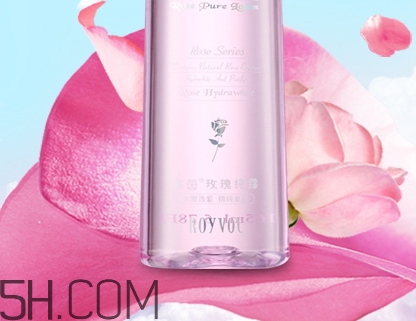 royvol萊茵是什么牌子？royvol萊茵是哪個國家的