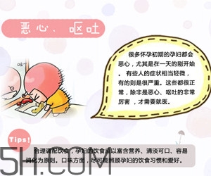 懷孕了應該如何調(diào)理？懷孕了如何根據(jù)體質(zhì)調(diào)養(yǎng)？