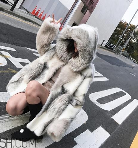 十字貂和水貂哪個(gè)好？十字貂和水貂哪個(gè)貴？
