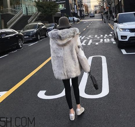 十字貂和水貂哪個(gè)好？十字貂和水貂哪個(gè)貴？