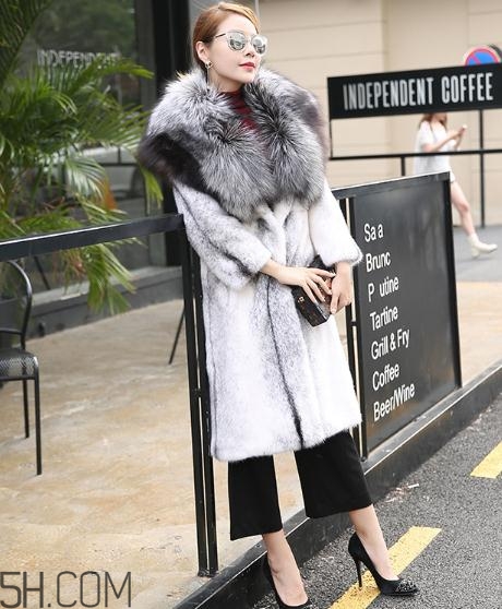 丹麥貂好還是美國貂好？丹麥貂和美國貂的區(qū)別