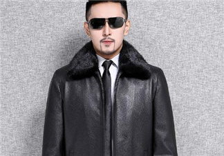 黃金貂內(nèi)膽真假怎么看？黃金貂內(nèi)膽真假界別