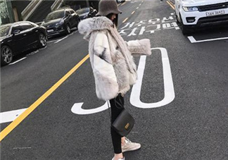 十字貂和水貂哪個好？十字貂和水貂哪個貴？