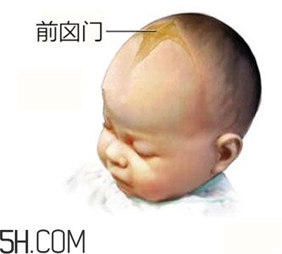寶寶囟門是怎樣的一個部位？寶寶的囟門要怎樣保護比較好？