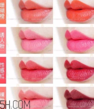 唇膏盤怎么用？口紅盤怎么用法