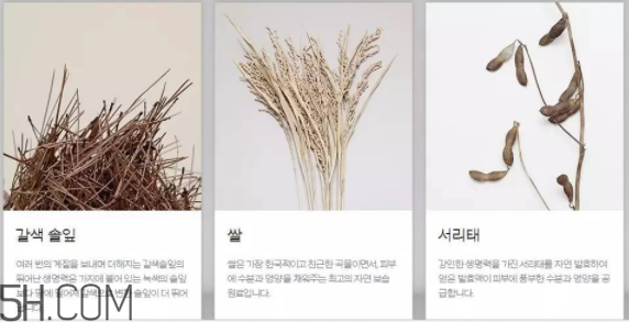 韓律護(hù)膚品怎么樣？韓律全系列介紹