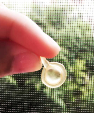 伊麗莎白雅頓眼部精華液怎么打開？怎么保存？