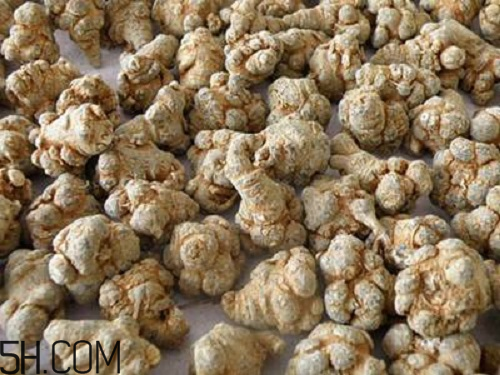 三七粉苦的好還是不苦的好？三七粉越苦越好嗎？