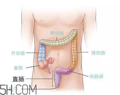 宿便有什么危害？如何清除宿便？