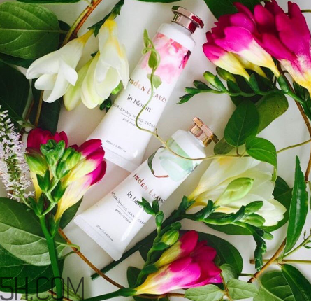 linden leaves香氛護(hù)手霜好用嗎？laura ashley護(hù)手霜好用嗎？