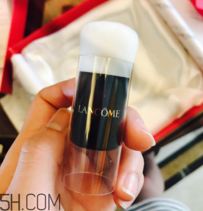 蘭蔻菁純氣墊粉底液110號色適合黃皮嗎？真人試色