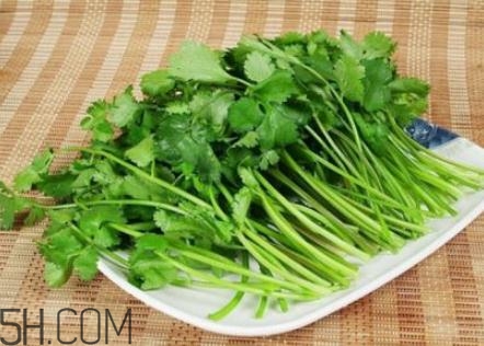 香菜根煮水怎么煮？香菜根煮水喝幾天見效？
