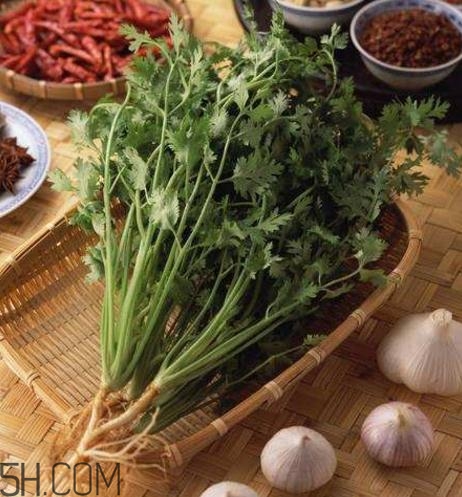 香菜根煮水能減肥嗎？香菜根煮水能天天喝嗎？