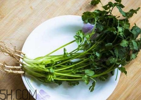 香菜根煮水能減肥嗎？香菜根煮水能天天喝嗎？