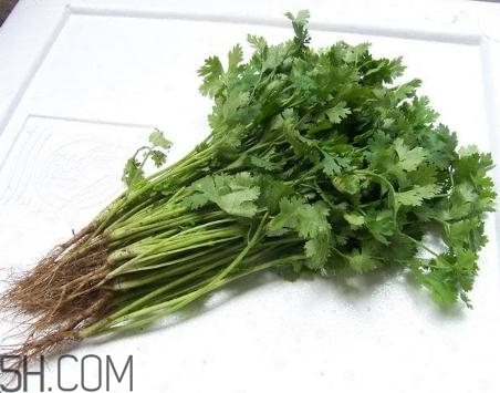 香菜根煮水能美白嗎？香菜根煮水能祛斑嗎？
