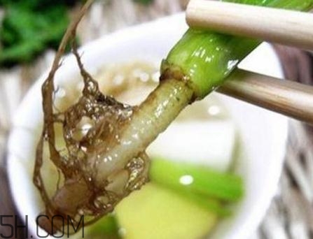 香菜根煮水能美白嗎？香菜根煮水能祛斑嗎？