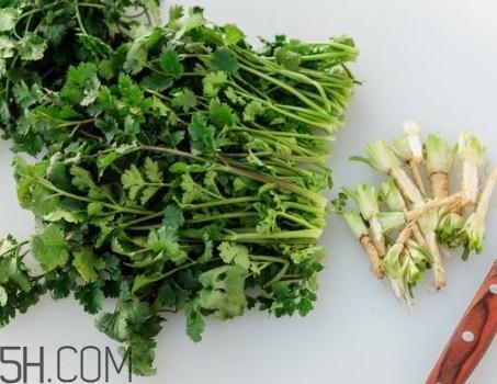 香菜根煮水能退燒嗎？香菜根煮水能治咳嗽嗎？