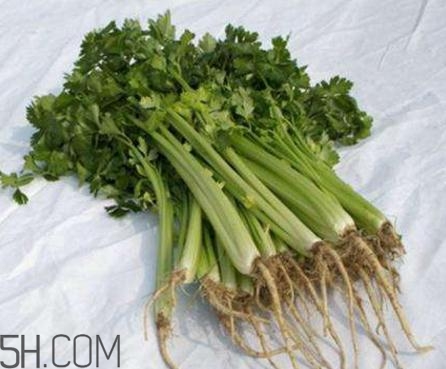 香菜根煮水能退燒嗎？香菜根煮水能治咳嗽嗎？