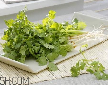 香菜根煮水能治濕疹嗎？香菜根煮水孕婦能喝嗎？