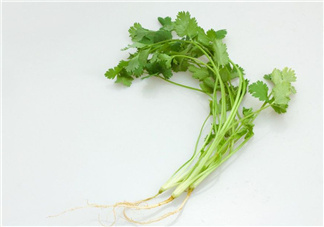 香菜根煮水能治濕疹嗎？香菜根煮水孕婦能喝嗎？