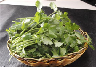 香菜根煮水能減肥嗎？香菜根煮水能天天喝嗎？