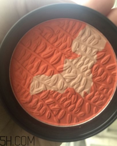 瑪麗黛佳腮紅怎么打？瑪麗黛佳腮紅怎么用？