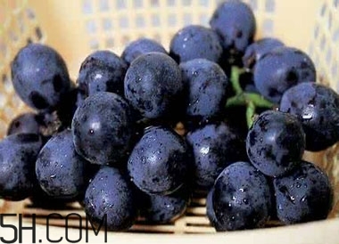 吃黑加侖對(duì)眼睛有什么好處？吃黑加侖要注意什么？