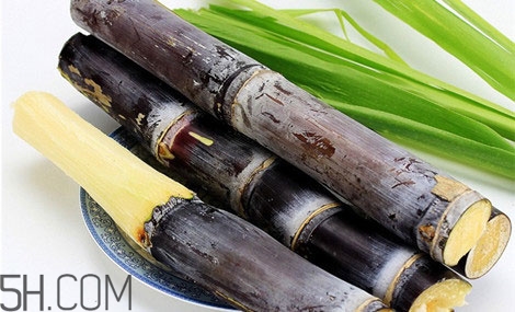 吃完甘蔗多久可以吃柿子？甘蔗和柿子一起吃了怎么辦？
