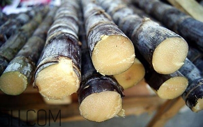 甘蔗和橙子能一起吃嗎？吃完甘蔗可以吃橙子嗎？
