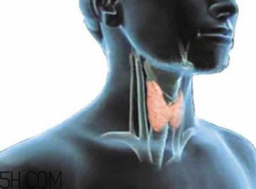 甲狀腺腫大和甲亢的區(qū)別有哪些？甲狀腺腫大適合吃什么食物？