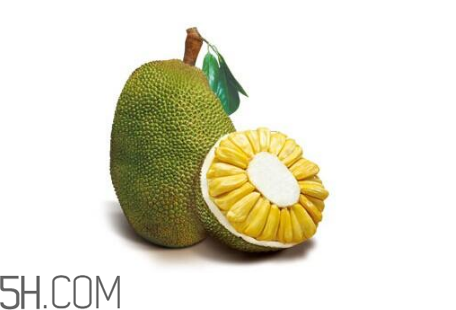 為什么吃菠蘿蜜拉肚子？吃菠蘿蜜拉肚子怎么辦？