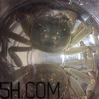 冬天可以吃大閘蟹嗎？冬天怎么吃大閘蟹？