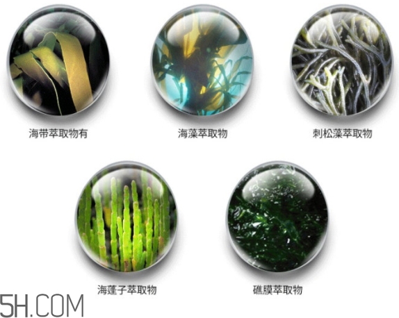 jmsolution珍珠面膜怎么用？jm珍珠珍珠面膜分為三部曲