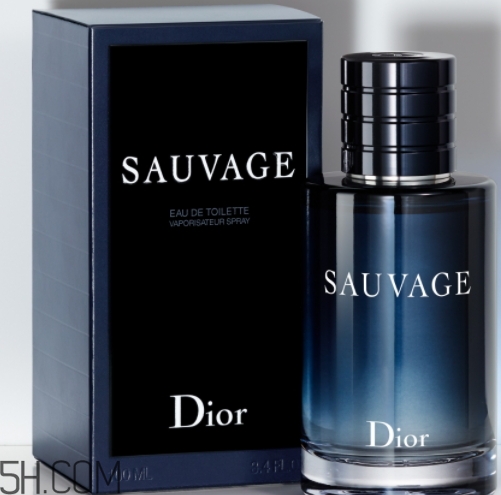 dior迪奧曠野男士淡香水好聞嗎？頻頻斷貨的魅力香水