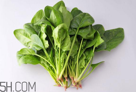 羊肉和菠菜能一起吃嗎？吃羊肉能吃菠菜嗎？