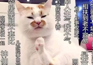 佛系妝是什么妝？佛系妝容輕松打造