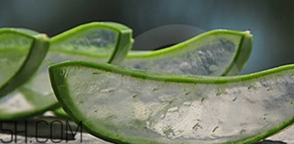 蘆薈膠祛痘效果好嗎？蘆薈膠真的會(huì)祛痘