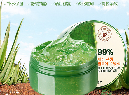 得鮮蘆薈膠含酒精嗎？蘆薈膠當(dāng)睡眠面膜的作用