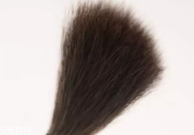 高光刷哪個(gè)牌子好？好用到哭的高光刷