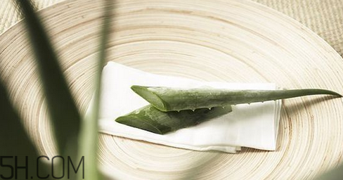蘆薈膠吃了會(huì)怎樣？蘆薈膠的吃法